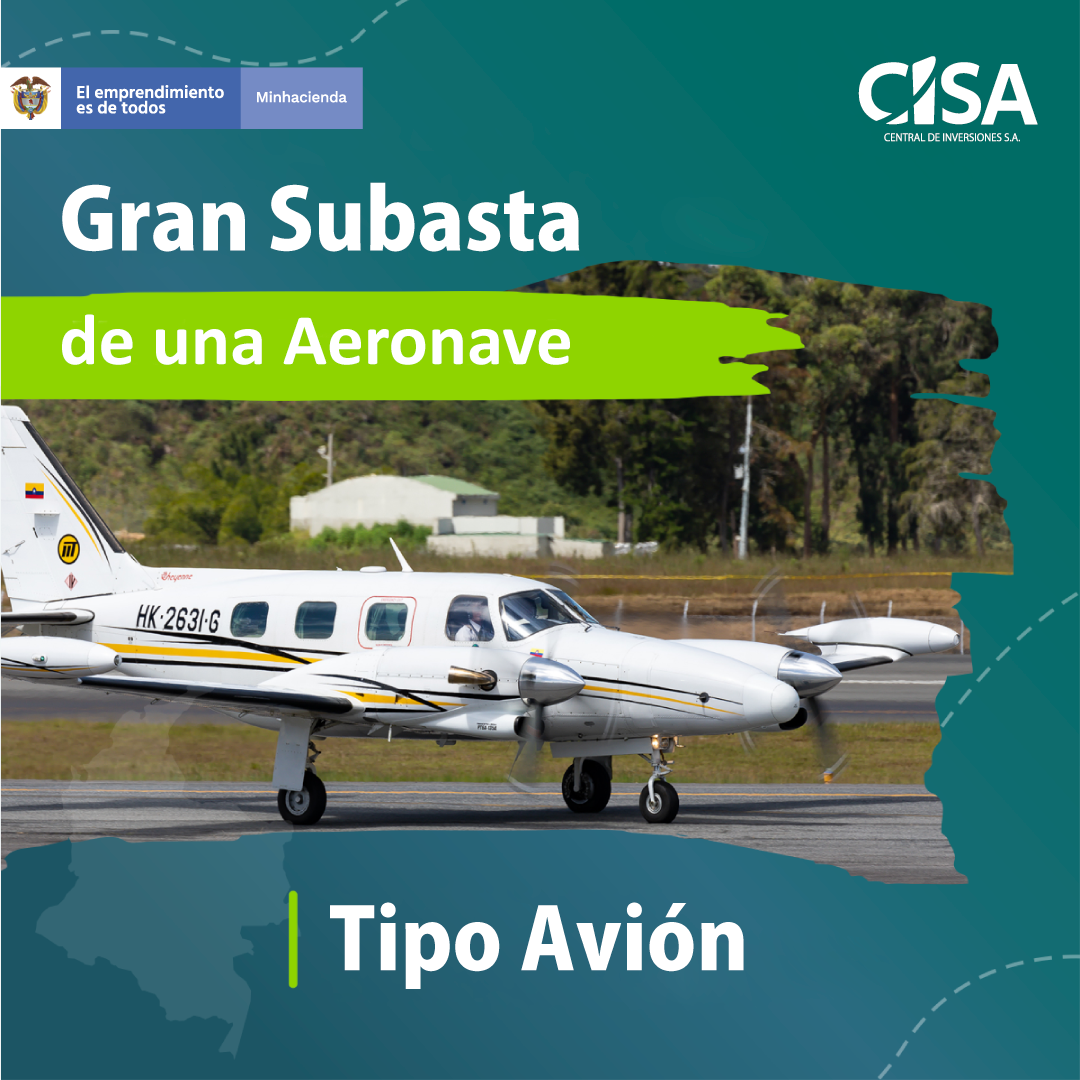 Subasta Avioneta