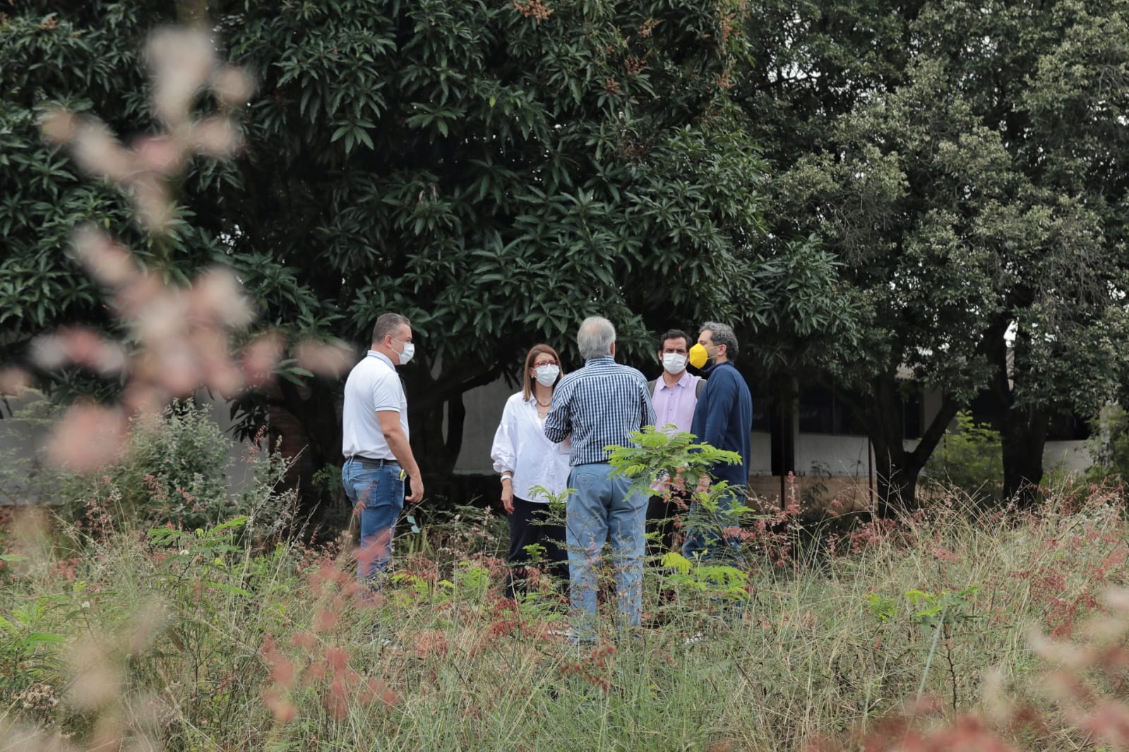 Grupo de personas reunidas en zona verde