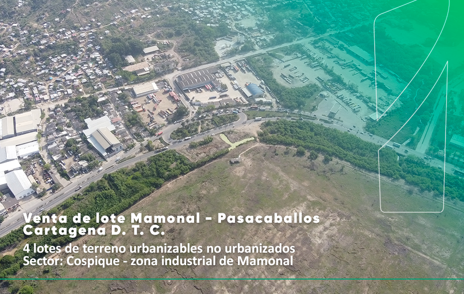Lote Mamonal Lote Mamonal